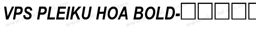 VPS Pleiku Hoa Bold字体转换